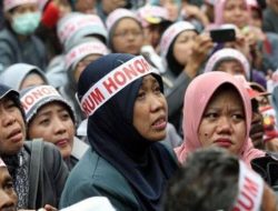BKN Minta Bupati Pangkep Klarifikasi Soal Guru Honorer 9 Tahun Gagal PPPK