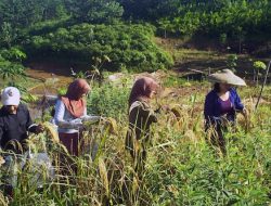 Herman Djide: Menghidupkan Lahan Mati, Membangunkan Semangat Desa dan Kelurahan
